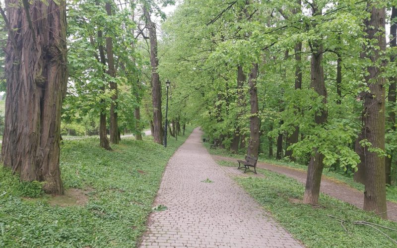 Park rodzinny Uzbornia