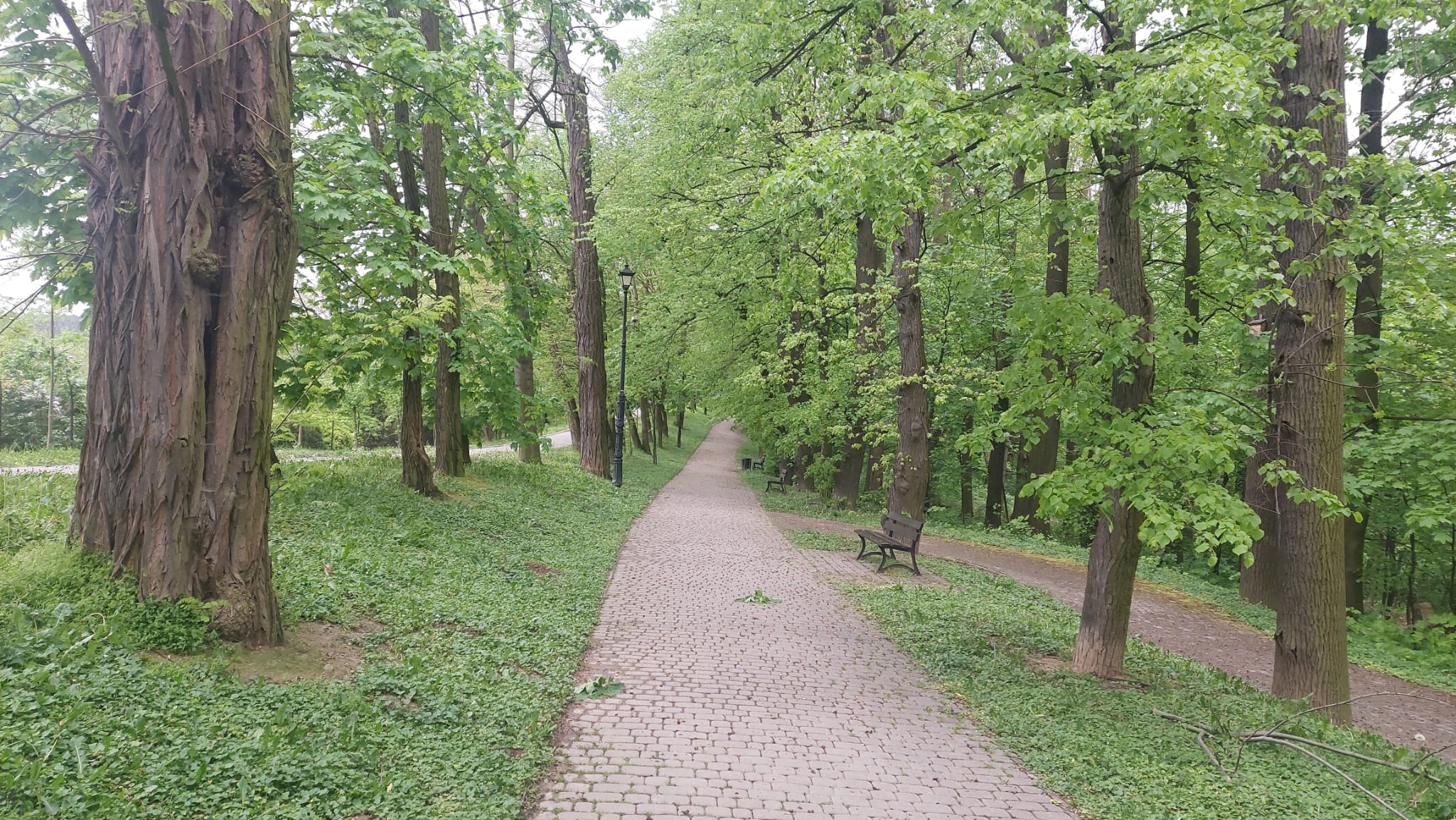 Park rodzinny Uzbornia